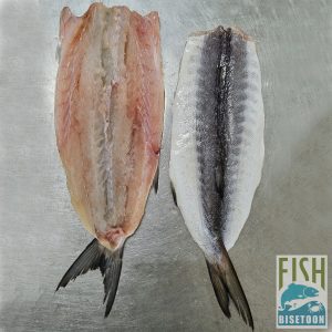 فیله ماهی کوتر پروانه ای بدون استخوان (فله) -1000 گرم